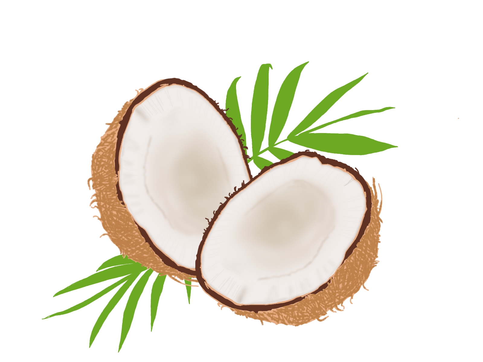 ヨーグルトとココナッツオイルの簡単レシピ