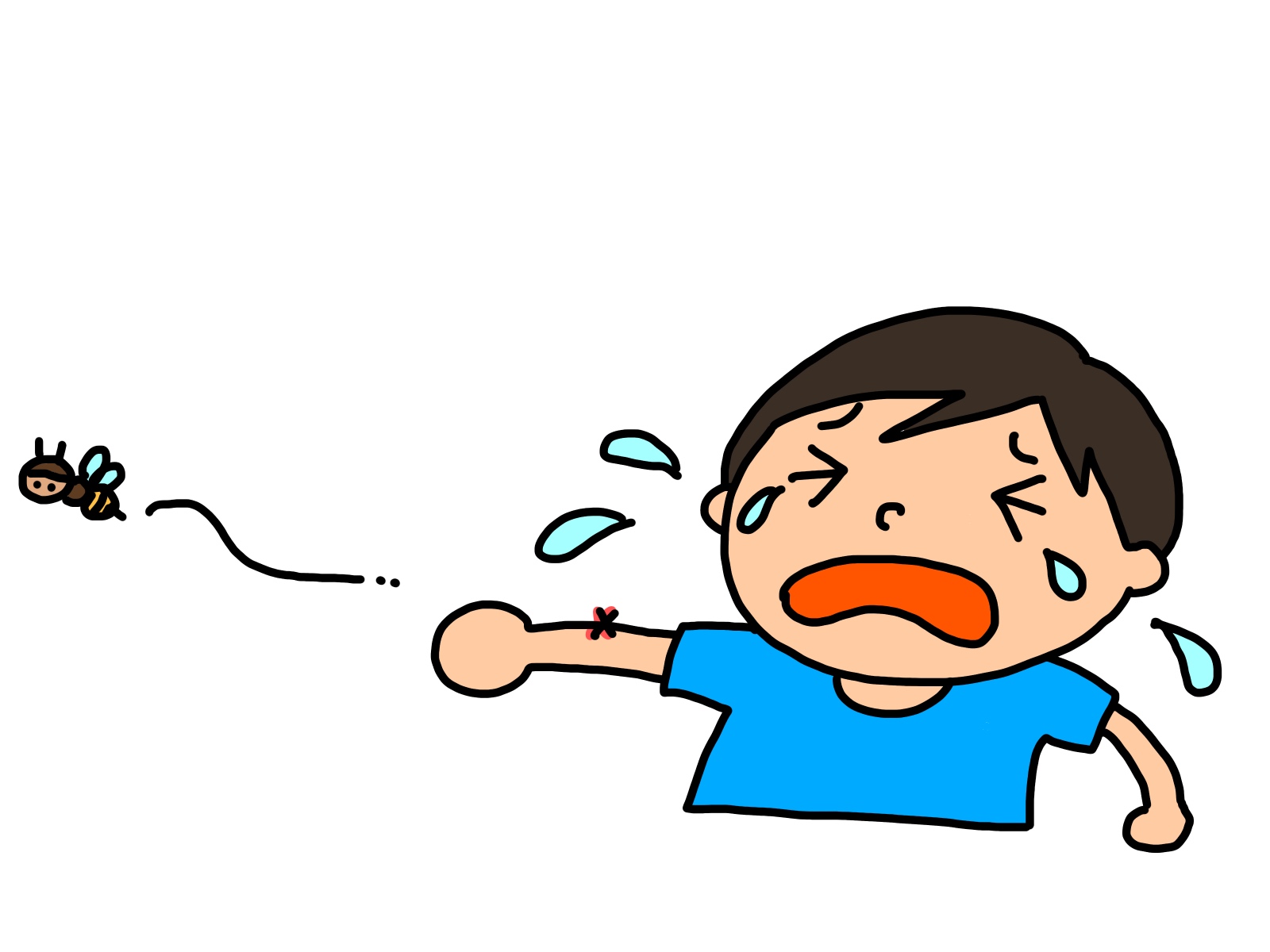 蜂の危険とリスク